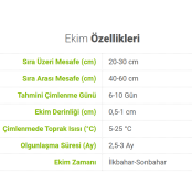 BK Commerce Kıvırcık Marul Tohumu