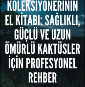 Kaktüs Bakımı