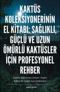 Kaktüs Bakımı