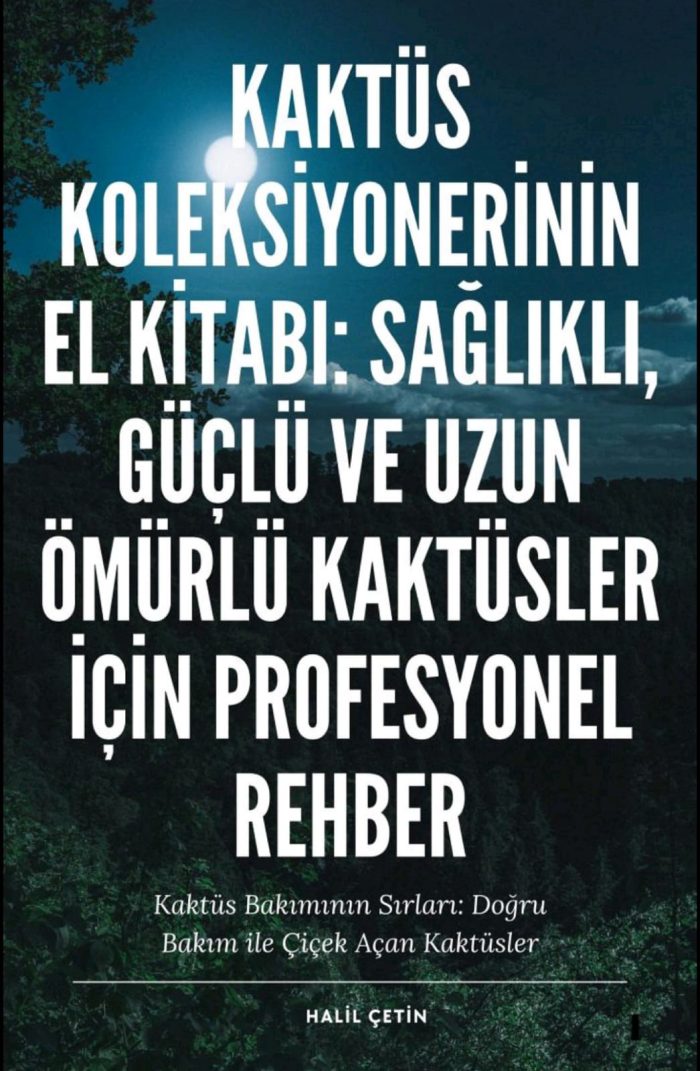 Kaktüs Bakımı